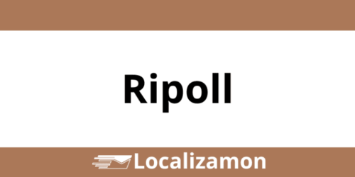 Teléfono Access Point UPS Ripoll